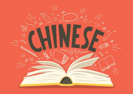 Chinese Language Demo