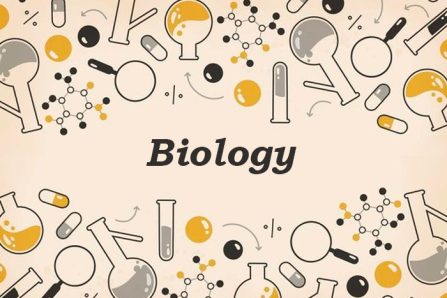 Cambridge O Level Biology (5090)