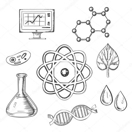 Biology Punjab Board (Grade 11-12)