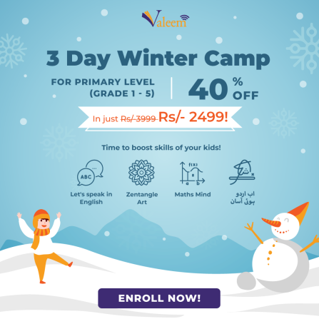 3 Day Winter Camp (Primary Level)