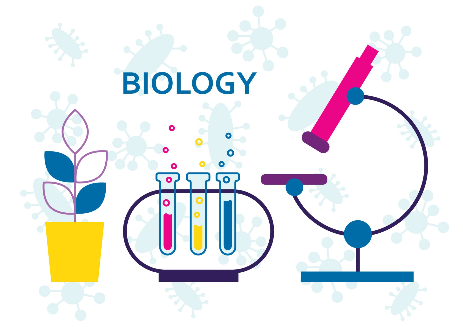 Biology Grade 9 12 VALEEM biology-grade-9-12-valeem